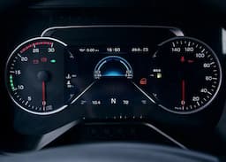 77518032.jpg